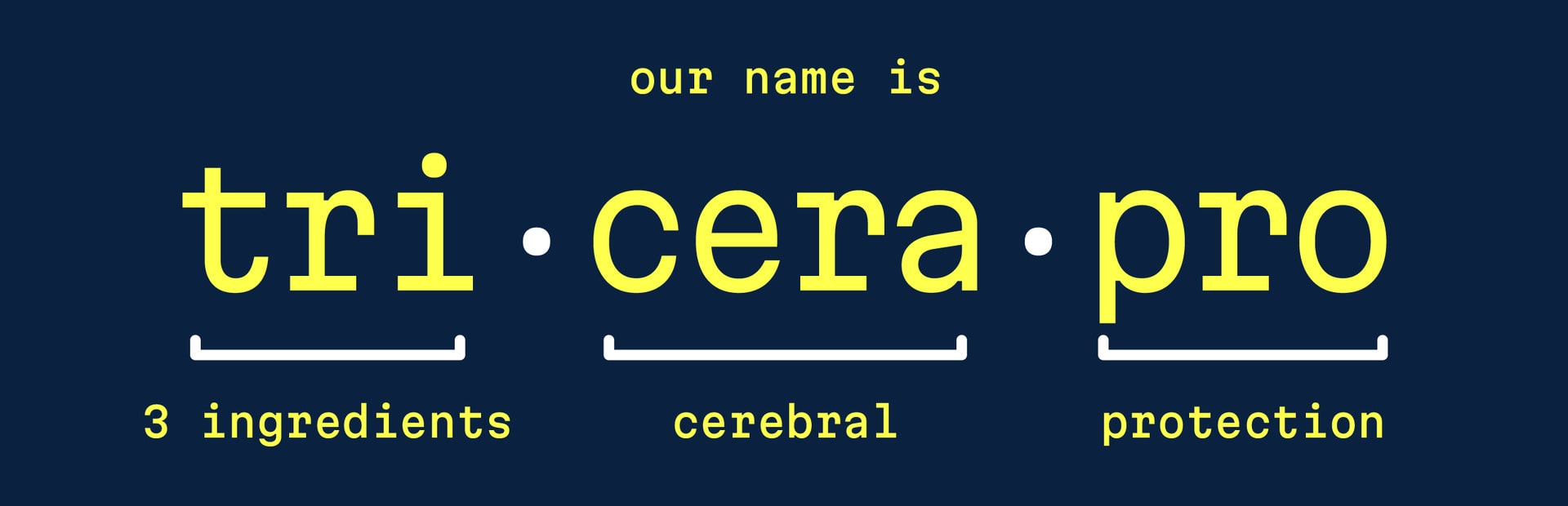 Our name is: tri (3 ingredients) · cera (cerebral) · pro (protection)